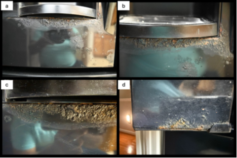 Corrosion Seen on Door Panel
